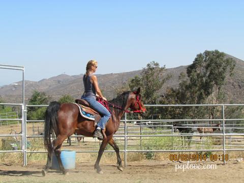 Kristyna_Jeans_Horseback